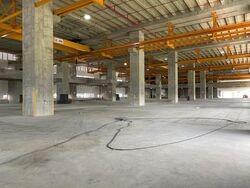 Gul Way (D22), Factory #498543991